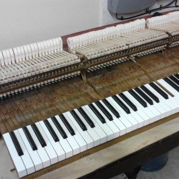 Steinway Piano Action Rebuild