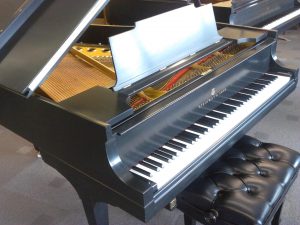 Rebuilt Steinway M. I did the action.